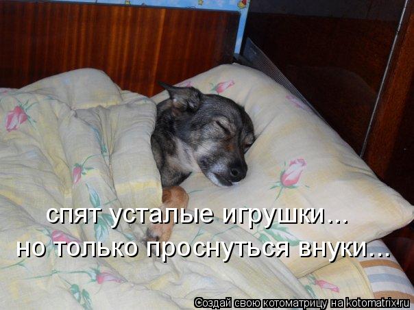 Котоматрица: спят усталые игрушки... но только проснуться внуки...