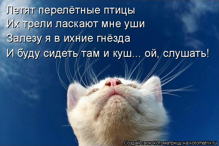 Летят перелётные птицы Их трели ласкают мне уши Залезу я в ихние гнёзда И буду сидеть там и куш... ой... Котоматрица: Летят перелётные птицы Их трели ласкают мне уши Залезу я в ихние гнёзда И буду сидеть там и куш... ой, слушать!