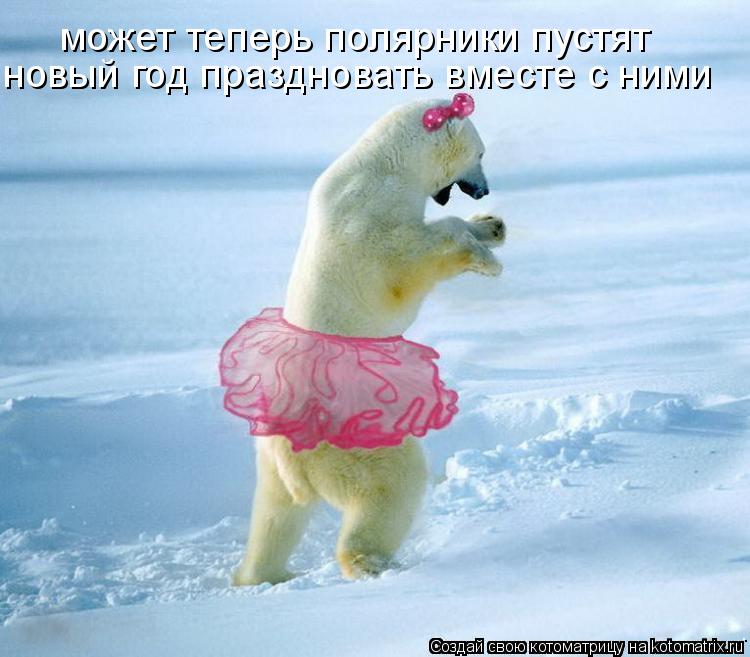 Котоматрица: может теперь полярники пустят новый год праздновать вместе с ними