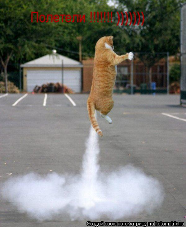 Котоматрица: Полетели !!!!!!! )))))))