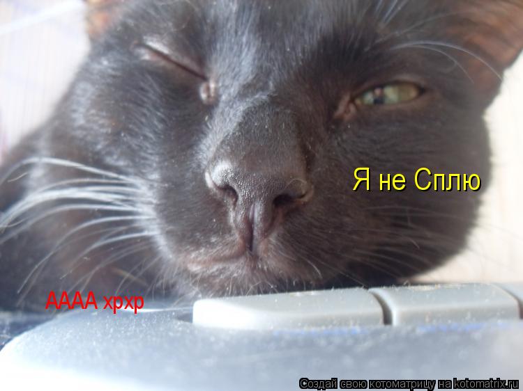 Котоматрица: АААА хрхр Я не Сплю