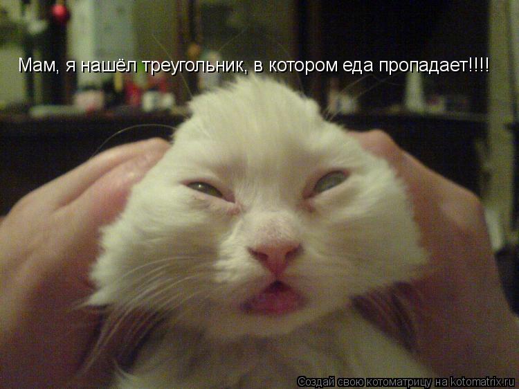 Мам, я нашёл треугольник, в котором еда пропадает!!!!... Котоматрица: Мам, я нашёл треугольник, в котором еда пропадает!!!!
