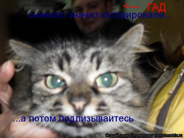 сначоло значит кострировали... ...а потом подлизываитесь ГАД <---... Котоматрица: сначоло значит кострировали... ...а потом подлизываитесь ГАД <---