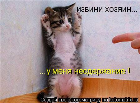 извини хозяин... ...у меня несдержание !... Котоматрица: извини хозяин... ...у меня несдержание !