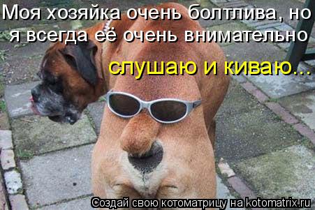 Моя хозяйка очень болтлива, но я всегда её очень внимательно слушаю и киваю...... Котоматрица: Моя хозяйка очень болтлива, но я всегда её очень внимательно слушаю и киваю...