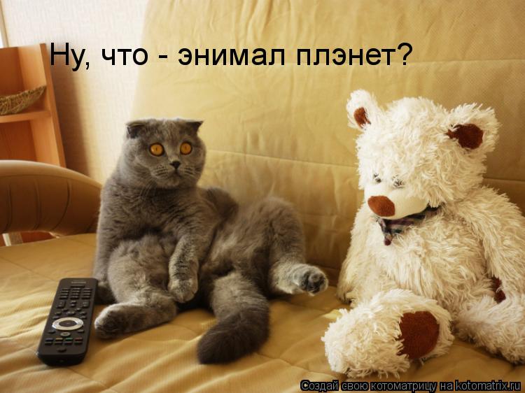 Ну, что - энимал плэнет?... Котоматрица: Ну, что - энимал плэнет?