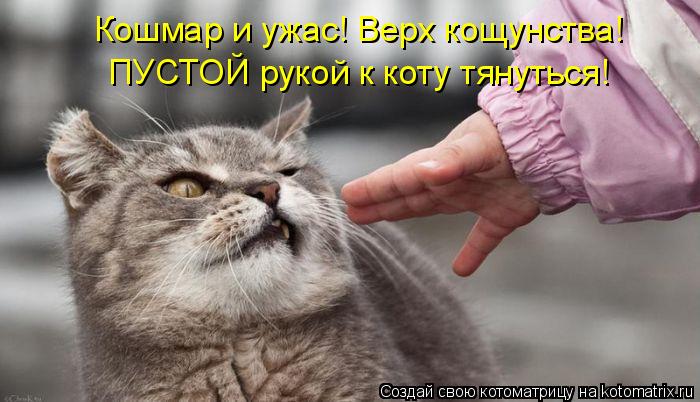 Котоматрица: Кошмар и ужас! Верх кощунства! ПУСТОЙ рукой к коту тянуться!