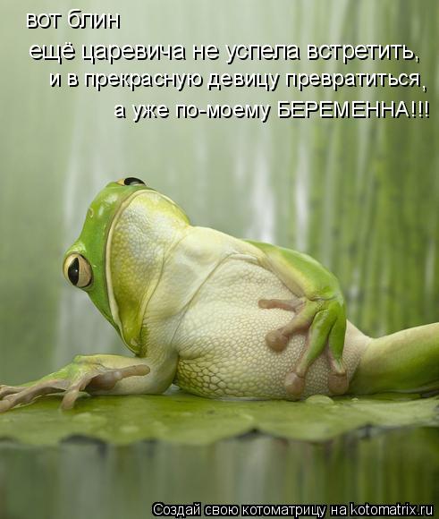 вот блин ещё царевича не успела встретить, и в прекрасную девицу превратиться , а уже по-моему БЕРЕМЕ... Котоматрица: вот блин ещё царевича не успела встретить, и в прекрасную девицу превратиться , а уже по-моему БЕРЕМЕННА!!!