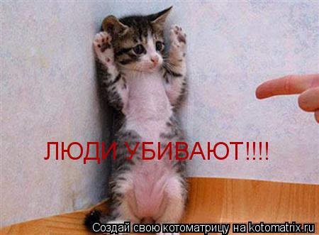 ЛЮДИ УБИВАЮТ!!!!... Котоматрица: ЛЮДИ УБИВАЮТ!!!!