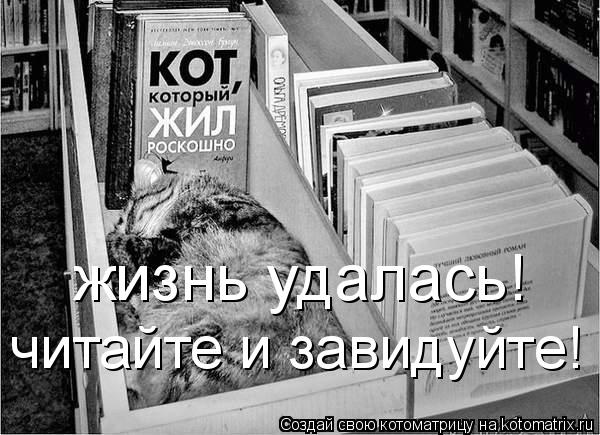 жизнь удалась! читайте и завидуйте!... Котоматрица: жизнь удалась! читайте и завидуйте!