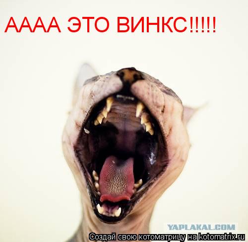 АААА ЭТО ВИНКС!!!!!... Котоматрица: АААА ЭТО ВИНКС!!!!!