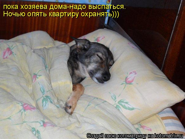 пока хозяева дома-надо выспаться. Ночью опять квартиру охранять)))... Котоматрица: пока хозяева дома-надо выспаться. Ночью опять квартиру охранять)))