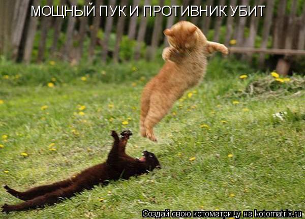 МОЩНЫЙ ПУК И ПРОТИВНИК УБИТ... Котоматрица: МОЩНЫЙ ПУК И ПРОТИВНИК УБИТ