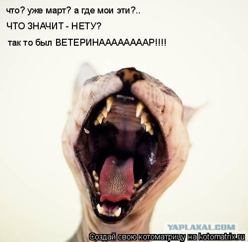 что? уже март? а где мои эти?.. ЧТО ЗНАЧИТ - НЕТУ? так то был ВЕТЕРИНААААААААР!!!!... Котоматрица: что? уже март? а где мои эти?.. ЧТО ЗНАЧИТ - НЕТУ? так то был ВЕТЕРИНААААААААР!!!!