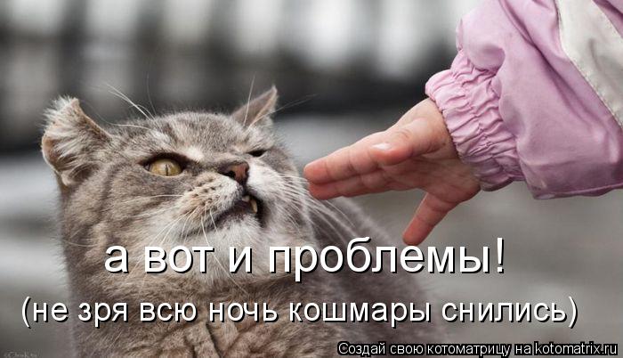 а вот и проблемы! (не зря всю ночь кошмары снились)... Котоматрица: а вот и проблемы! (не зря всю ночь кошмары снились)