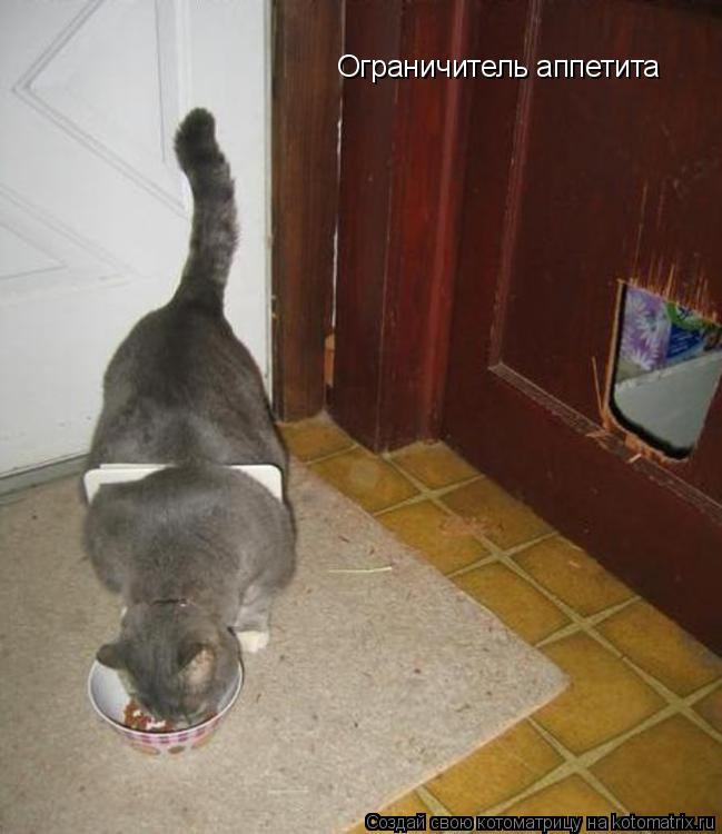 Ограничитель аппетита... Котоматрица: Ограничитель аппетита