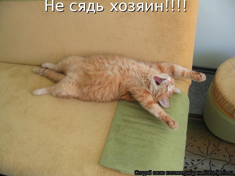 Не сядь хозяин!!!!... Котоматрица: Не сядь хозяин!!!!