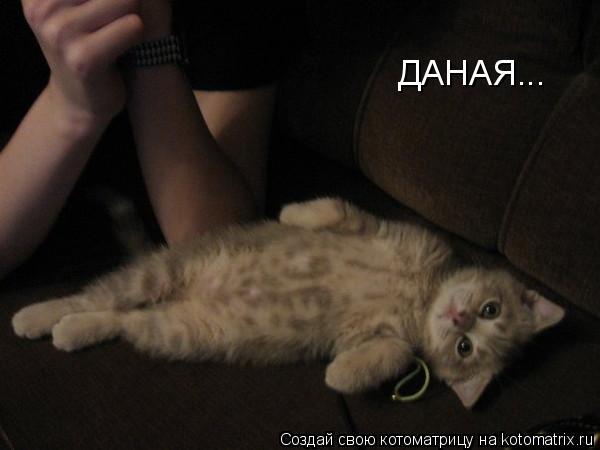 ДАНАЯ...... Котоматрица: ДАНАЯ...