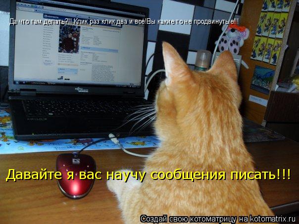 Да что там делать?!! Клик раз клик два и всё!Вы какие то не продвинутые!!! Давайте я вас научу сообще... Котоматрица: Да что там делать?!! Клик раз клик два и всё!Вы какие то не продвинутые!!! Давайте я вас научу сообщения писать!!!