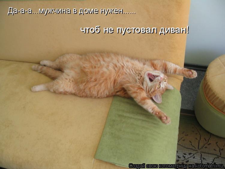 Да-а-а...мужчина в доме нужен...... чтоб не пустовал диван!... Котоматрица: Да-а-а...мужчина в доме нужен...... чтоб не пустовал диван!