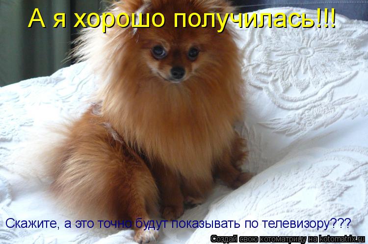 А я хорошо получилась!!! Скажите, а это точно будут показывать по телевизору???... Котоматрица: А я хорошо получилась!!! Скажите, а это точно будут показывать по телевизору???