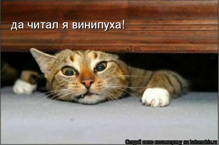 да читал я винипуха!... Котоматрица: да читал я винипуха!