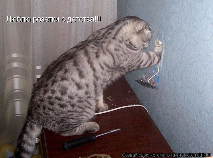 Люблю розетки с детства!!!... Котоматрица: Люблю розетки с детства!!!