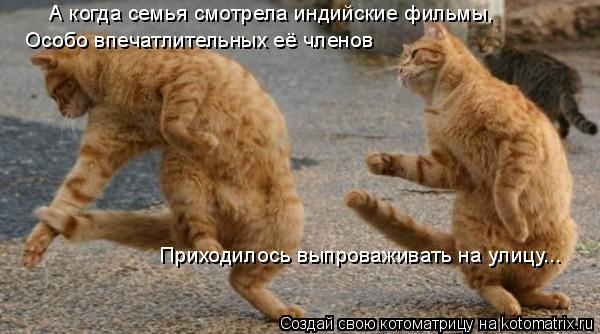 А когда семья смотрела индийские фильмы, Особо впечатлительных её членов Приходилось выпроваживать на... Котоматрица: А когда семья смотрела индийские фильмы, Особо впечатлительных её членов Приходилось выпроваживать на улицу...