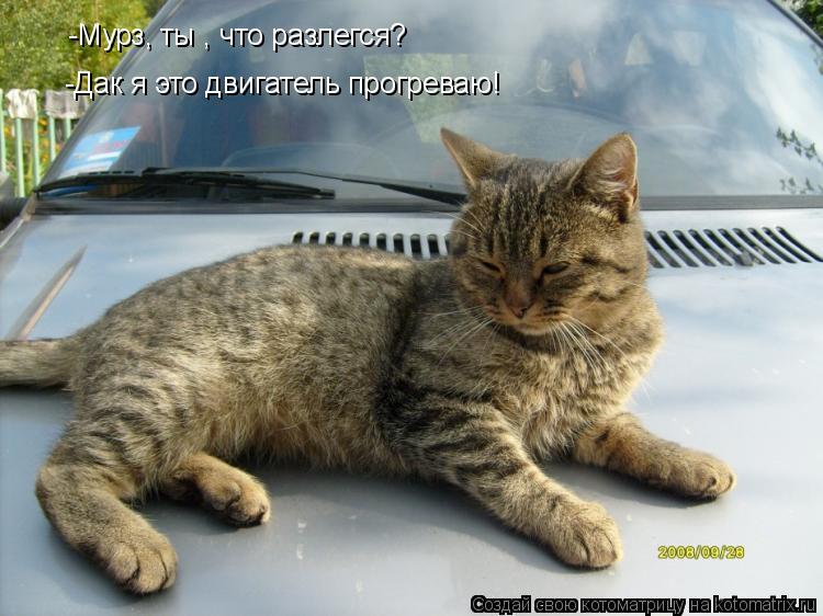 -Мурз, ты , что разлегся? -Дак я это двигатель прогреваю!... Котоматрица: -Мурз, ты , что разлегся? -Дак я это двигатель прогреваю!