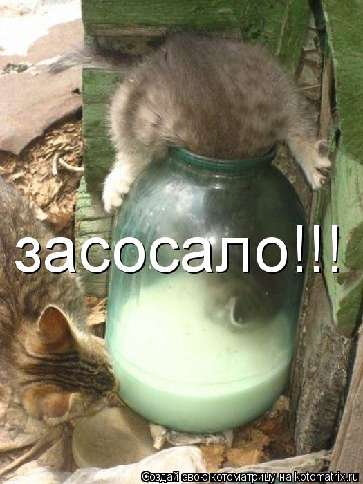 засосало!!!... Котоматрица: засосало!!!