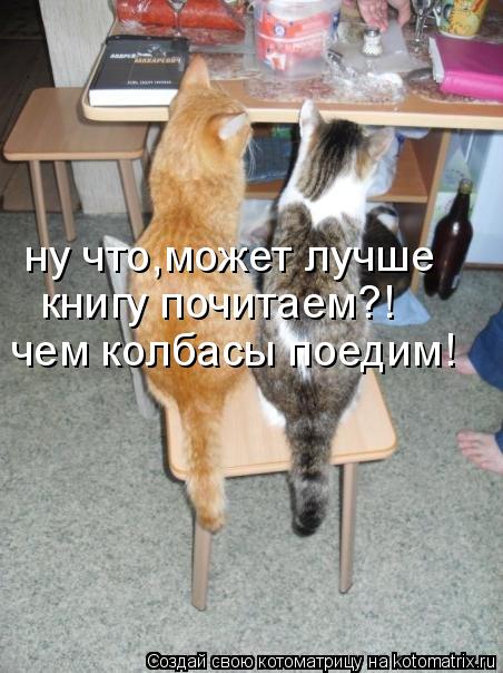 ну что,может лучше книгу почитаем?! чем колбасы поедим!... Котоматрица: ну что,может лучше книгу почитаем?! чем колбасы поедим!