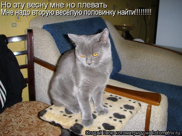 Но эту весну мне но плевать Мне надо вторую весёлую половинку найти!!!!!!!!! Мне надо вторую весё... Котоматрица: Но эту весну мне но плевать Мне надо вторую весёлую половинку найти!!!!!!!!! Мне надо вторую весёлую половинку найти!!!!!!!!!