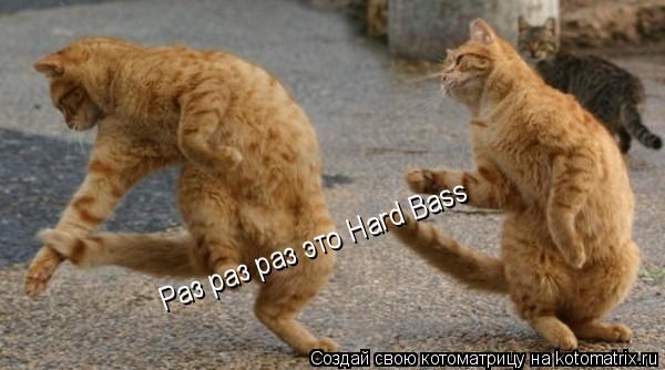 Раз раз раз это Hard Bass Раз раз раз это Hard Bass... Котоматрица: Раз раз раз это Hard Bass Раз раз раз это Hard Bass