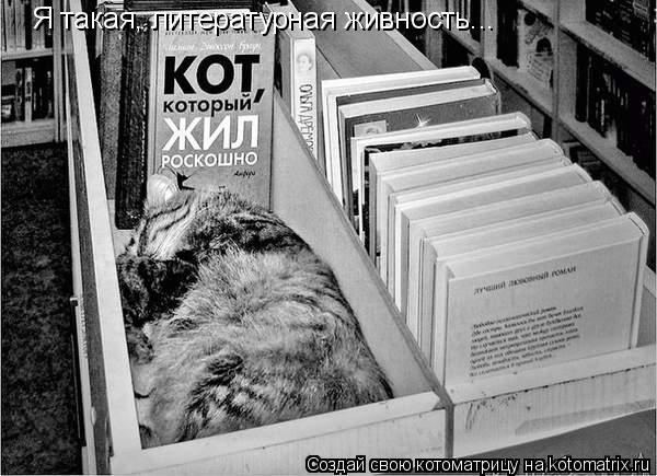 Я такая, литературная живность...... Котоматрица: Я такая, литературная живность...