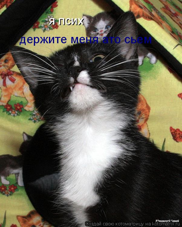я псих держите меня ато сьем... Котоматрица: я псих держите меня ато сьем