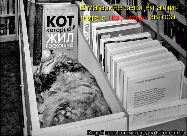 Котоматрица: В магазине сегодня акция: книга с подписью автора