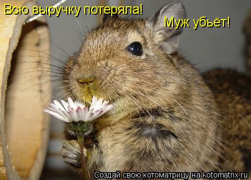 Всю выручку потеряла! Муж убьёт!... Котоматрица: Всю выручку потеряла! Муж убьёт!