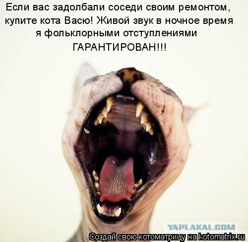 Если вас задолбали соседи своим ремонтом, купите кота Васю! Живой звук в ночное время я фольклорными ... Котоматрица: Если вас задолбали соседи своим ремонтом, купите кота Васю! Живой звук в ночное время я фольклорными отступлениями ГАРАНТИРОВАН!!!