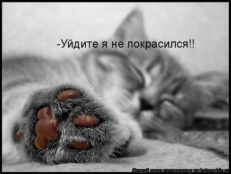 -Уйдите я не покрасился!!... Котоматрица: -Уйдите я не покрасился!!