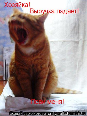 Хозяйка! Выручка падает! Лови меня!... Котоматрица: Хозяйка! Выручка падает! Лови меня!