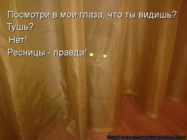 Посмотри в мои глаза, что ты видишь? Тушь? Нет! Ресницы - правда!... Котоматрица: Посмотри в мои глаза, что ты видишь? Тушь? Нет! Ресницы - правда!
