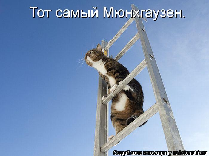 Тот самый Мюнхгаузен.... Котоматрица: Тот самый Мюнхгаузен.