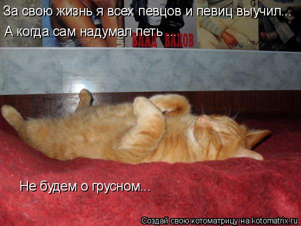 Котоматрица: За свою жизнь я всех певцов и певиц выучил... А когда сам надумал петь ... Не будем о грусном...