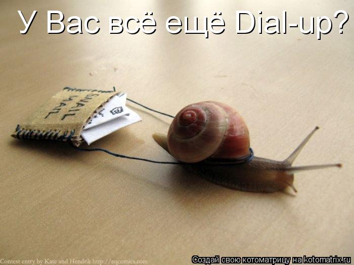 У Вас всё ещё Dial-up?... Котоматрица: У Вас всё ещё Dial-up?