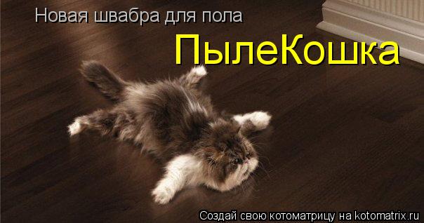 Новая швабра для пола ПылеКошка... Котоматрица: Новая швабра для пола ПылеКошка