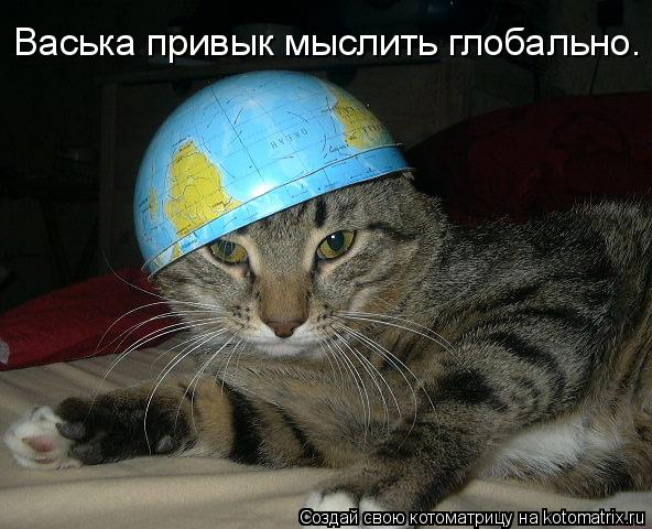 Васька привык мыслить глобально.... Котоматрица: Васька привык мыслить глобально.