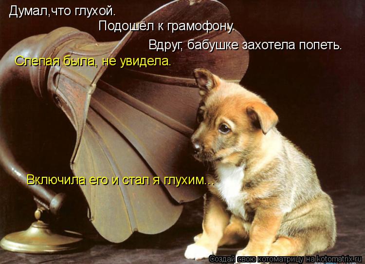 Думал,что глухой. Подошёл к грамофону. Вдруг, бабушке захотела попеть. Слепая была, не увидела. Включ... Котоматрица: Думал,что глухой. Подошёл к грамофону. Вдруг, бабушке захотела попеть. Слепая была, не увидела. Включила его и стал я глухим...