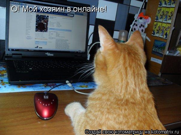О! Мой хозяин в онлайне!... Котоматрица: О! Мой хозяин в онлайне!