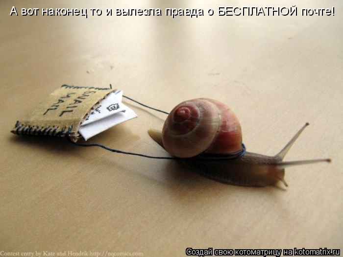 А вот наконец то и вылезла правда о БЕСПЛАТНОЙ почте!... Котоматрица: А вот наконец то и вылезла правда о БЕСПЛАТНОЙ почте!