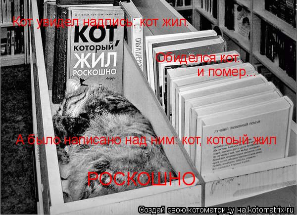 Кот увидел надпись: кот жил. Обиделся кот. и помер... А было написано над ним: кот, котоый жил РОСК... Котоматрица: Кот увидел надпись: кот жил. Обиделся кот. и помер... А было написано над ним: кот, котоый жил РОСКОШНО